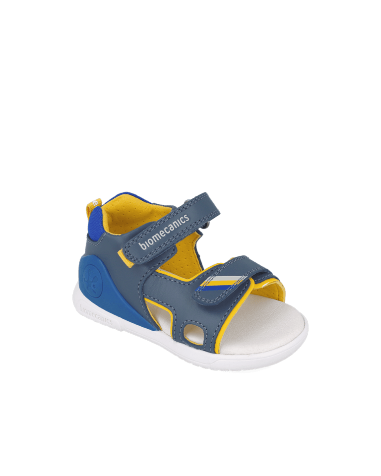 Blue/Yellow