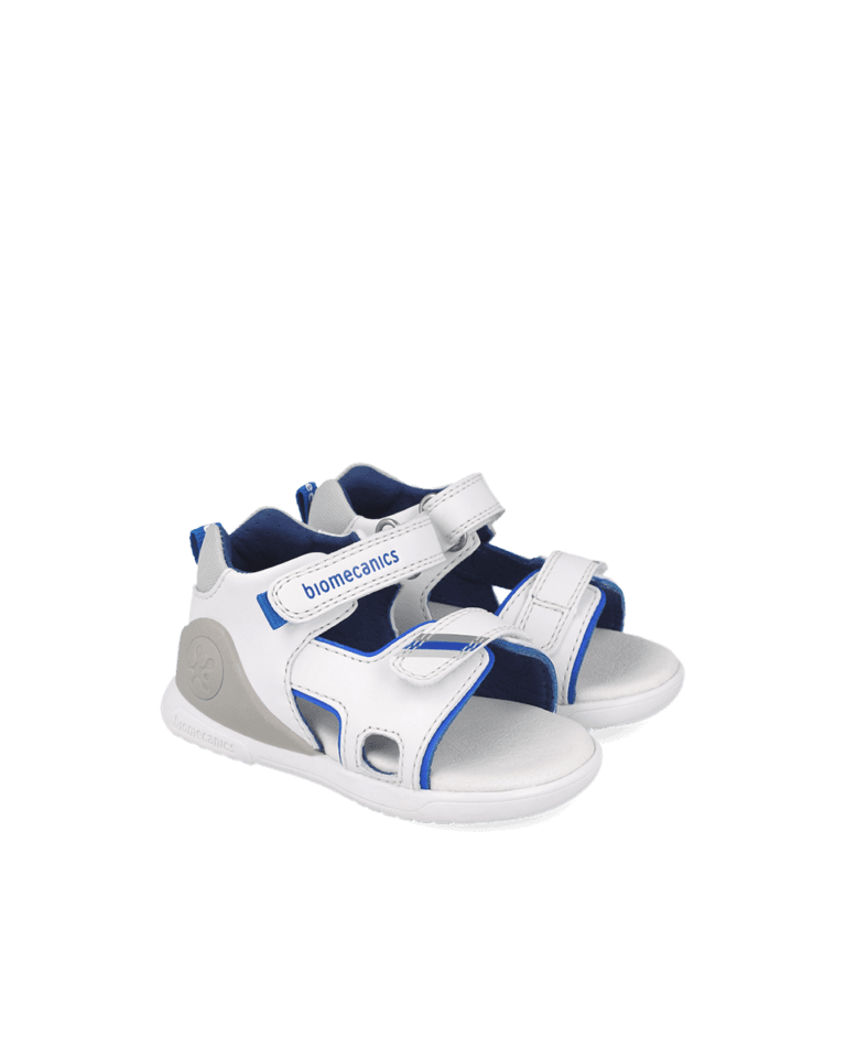 White/Blue